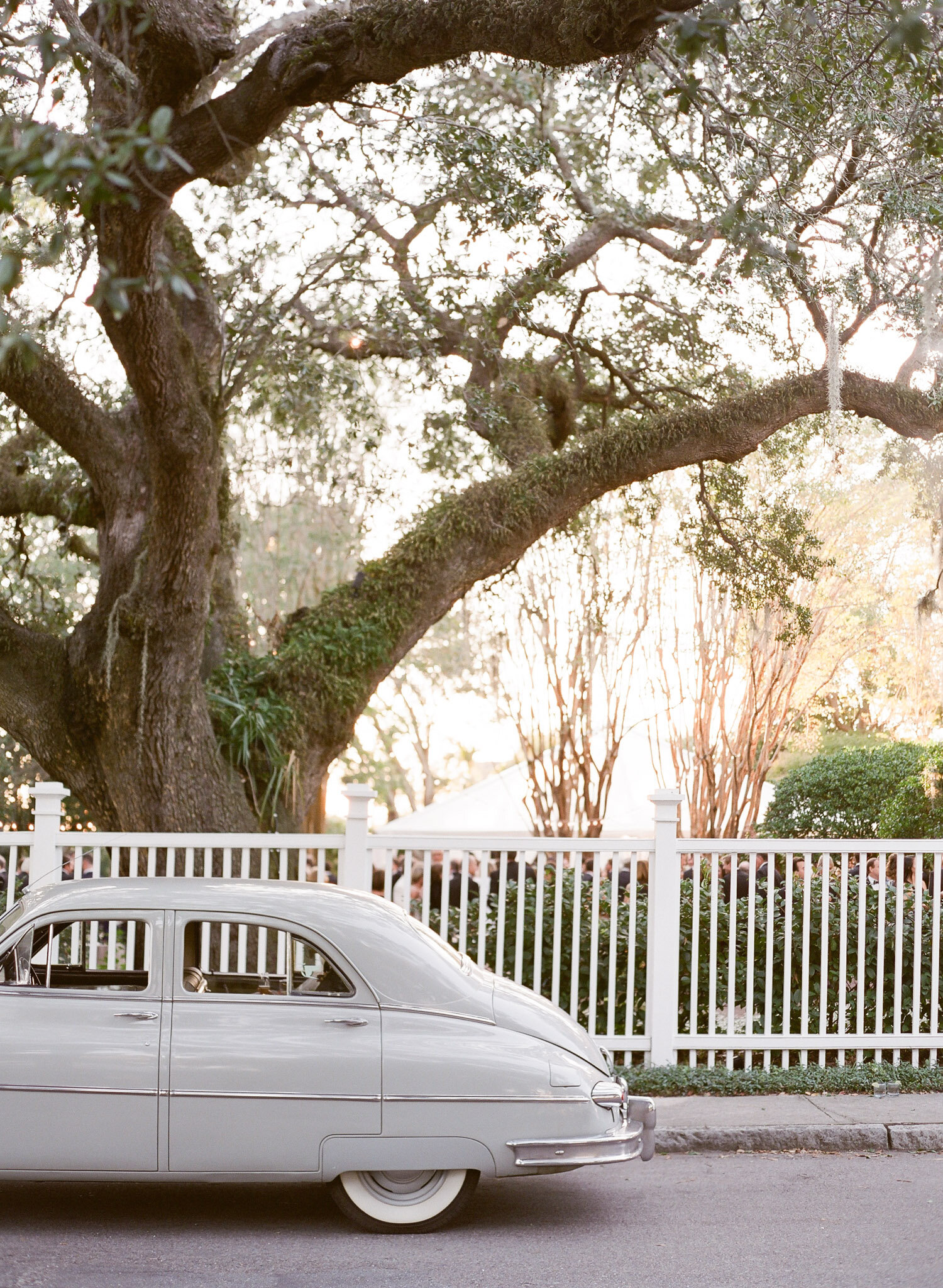 SC-Charleston-Wedding-Photographers-Autumn-86.jpg